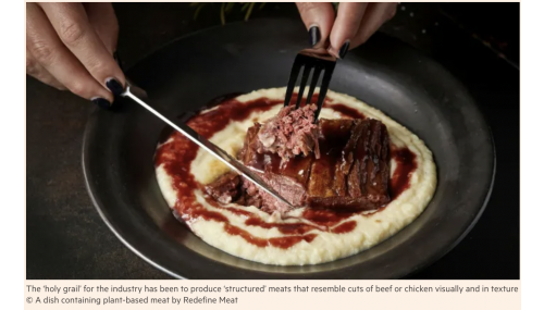 Redefine Meat, un startup israelian, susține că deține secretul cărnii “vegane”: plantele și printarea 3d