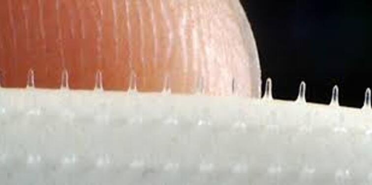 Plasturele 3D cu microac ar putea înlocui acul vaccinului