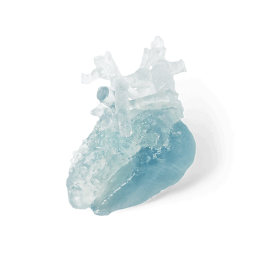 Rasina Formlabs BioMed Flex 80A (Form 3)