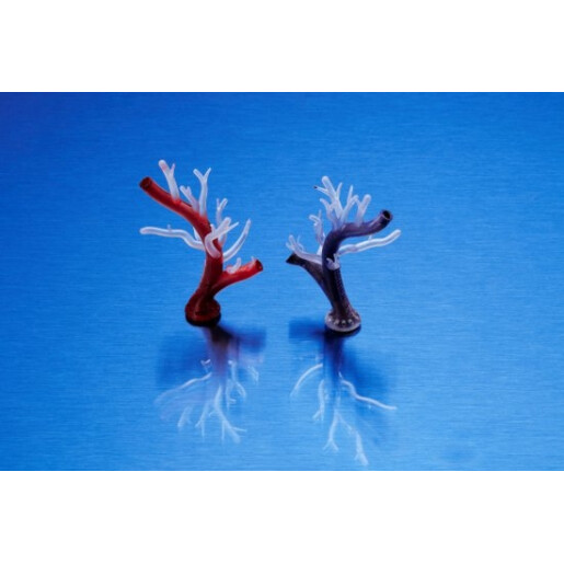 Rasina Formlabs Flexible 50A V2 1L (Form 3)
