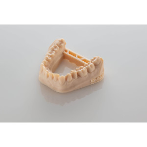 Rasina BASF Ultracur3D DM 2505 Dental Model