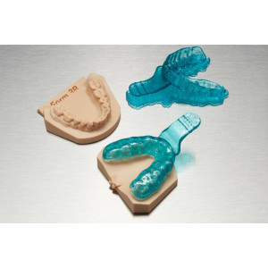 Rasina Formlabs Custom Tray 1L (Dental)