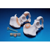 Rasina Formlabs BioMed White 1L (Form 4)