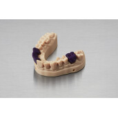 Rasina Formlabs Castable Wax 1L (Form 4)