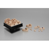 Rasina Formlabs Model V2 1L (Form 3)