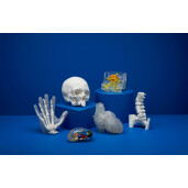 Rasina Formlabs Elastic 50A V2 1L (Form 4)